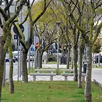 住宿加早餐酒店 Le Tre Civette