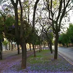 住宿加早餐酒店 Le Tre Civette 3*
