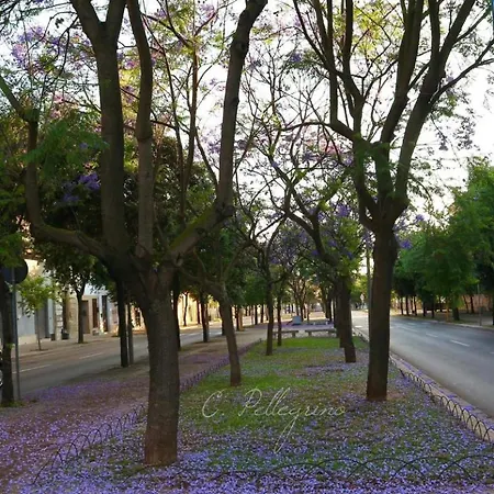 Bed & Breakfast Le Tre Civette 3*